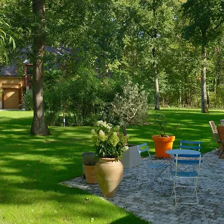 La Maison Dans Les Bois * Soucelles