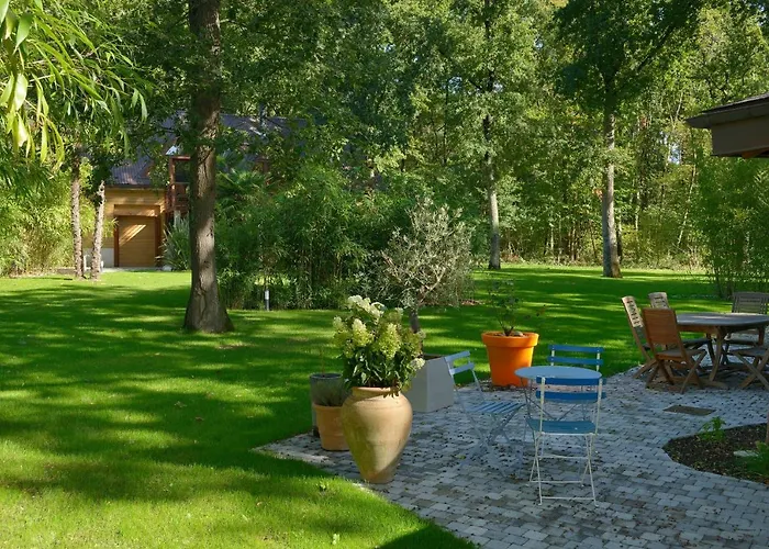 La Maison Dans Les Bois * Soucelles